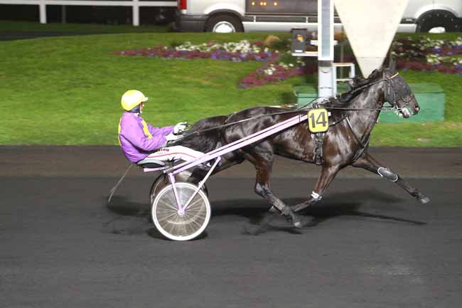 Photo d'arrivée de la course pmu PRIX LUCIA à PARIS-VINCENNES le Vendredi 1 avril 2016