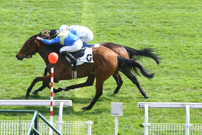 Photo d'arrivée de la course pmu PRIX LE SANCY à MAISONS-LAFFITTE le Vendredi 1 avril 2016