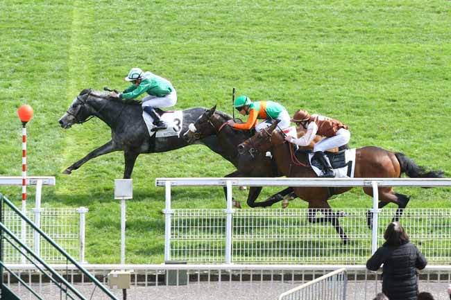 Photo d'arrivée de la course pmu PRIX LES ALLUETS-LE-ROI à MAISONS-LAFFITTE le Vendredi 1 avril 2016