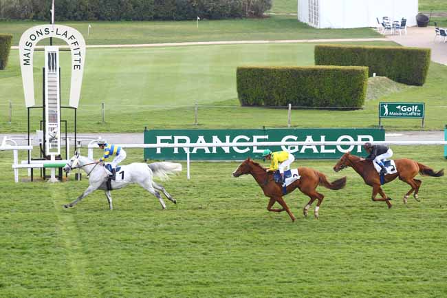 Photo d'arrivée de la course pmu PRIX RIGHT ROYAL à MAISONS-LAFFITTE le Vendredi 1 avril 2016