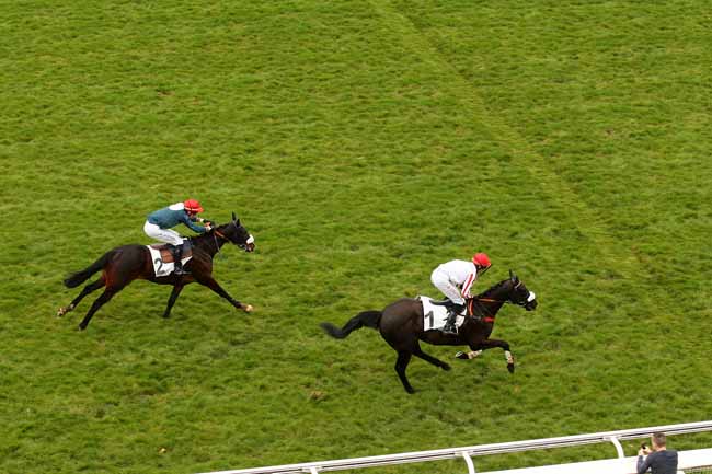 Photo d'arrivée de la course pmu PRIX KASHNIL à AUTEUIL le Samedi 2 avril 2016