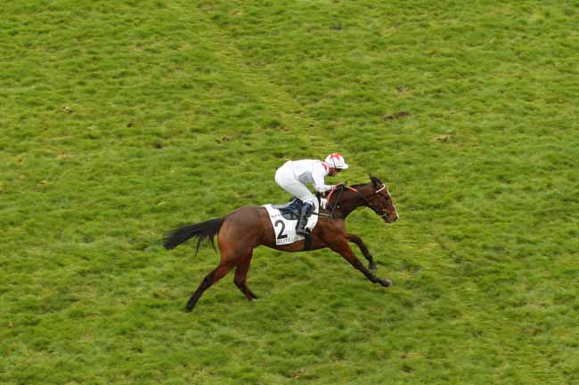 Photo d'arrivée de la course pmu PRIX GENERAL DE ROUGEMONT à AUTEUIL le Samedi 2 avril 2016