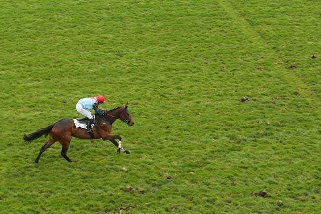 Photo d'arrivée de la course pmu PRIX ROMANTISME à AUTEUIL le Samedi 2 avril 2016