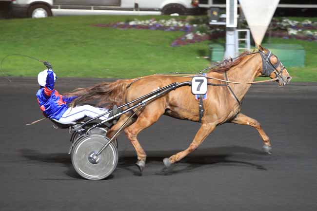 Photo d'arrivée de la course pmu PRIX ANDRE DREUX à PARIS-VINCENNES le Mardi 5 avril 2016