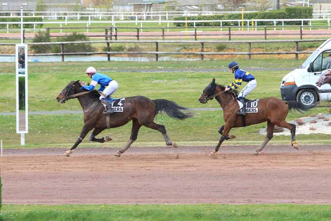 Photo d'arrivée de la course pmu PRIX DE L'AUBIER à ANGERS le Mercredi 6 avril 2016