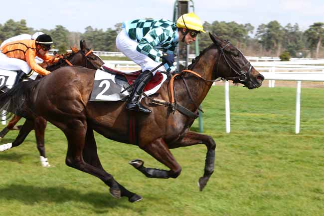 Photo d'arrivée de la course pmu PRIX DE LA TILLAIE à FONTAINEBLEAU le Mercredi 6 avril 2016