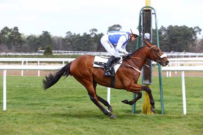 Photo d'arrivée de la course pmu PRIX DE MILLY-LA-FORET à FONTAINEBLEAU le Mercredi 6 avril 2016
