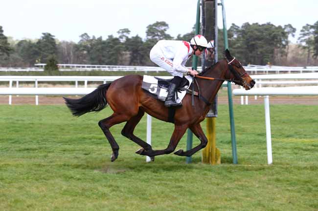 Photo d'arrivée de la course pmu PRIX D'ENGHIEN à FONTAINEBLEAU le Mercredi 6 avril 2016