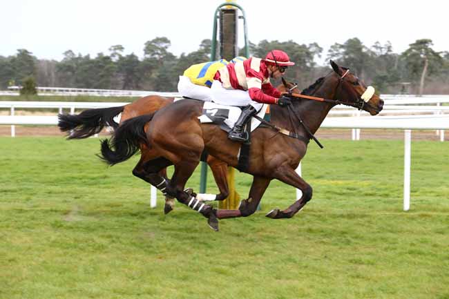 Photo d'arrivée de la course pmu GRAND STEEPLE-CHASE-CROSS COUNTRY DE FONTAINEBLEAU à FONTAINEBLEAU le Mercredi 6 avril 2016