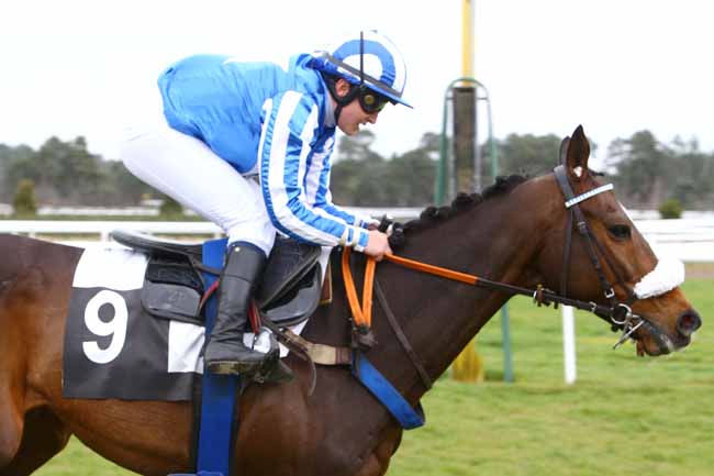 Photo d'arrivée de la course pmu PRIX DE BARBIZON à FONTAINEBLEAU le Mercredi 6 avril 2016