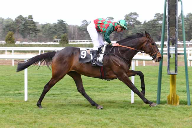 Photo d'arrivée de la course pmu PRIX THIERRY CLEMENT à FONTAINEBLEAU le Mercredi 6 avril 2016