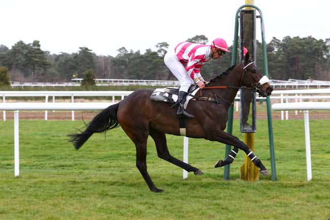 Photo d'arrivée de la course pmu PRIX DE PROVINS à FONTAINEBLEAU le Mercredi 6 avril 2016