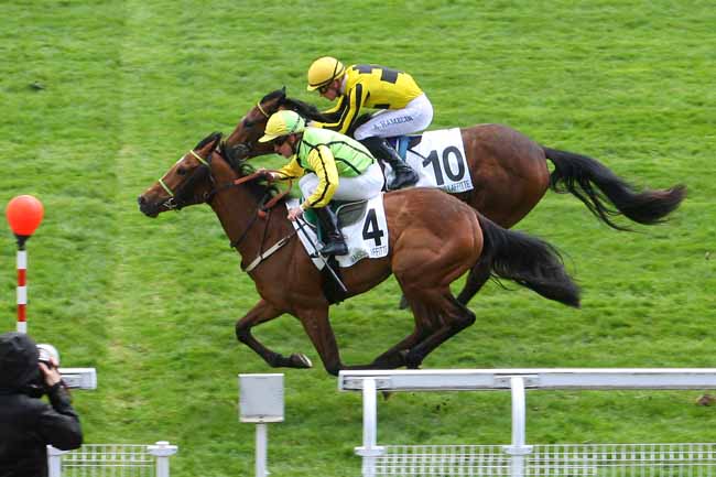 Photo d'arrivée de la course pmu PRIX D'ORGEVAL à MAISONS-LAFFITTE le Jeudi 7 avril 2016