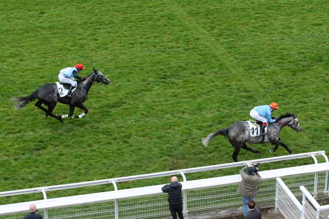 Photo d'arrivée de la course pmu PRIX GUY HUNAULT à AUTEUIL le Vendredi 8 avril 2016