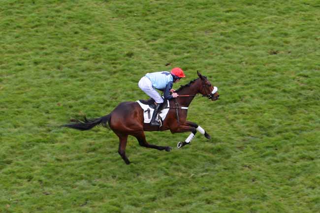 Photo d'arrivée de la course pmu PRIX DE PEPINVAST à AUTEUIL le Vendredi 8 avril 2016