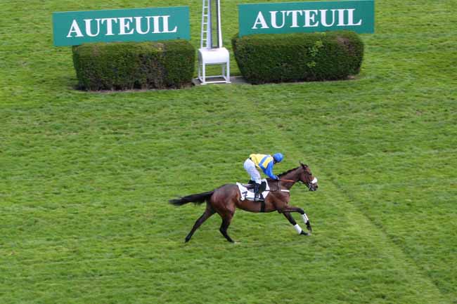 Photo d'arrivée de la course pmu PRIX MURAT à AUTEUIL le Vendredi 8 avril 2016