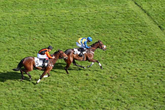 Photo d'arrivée de la course pmu PRIX TURCO à AUTEUIL le Vendredi 8 avril 2016