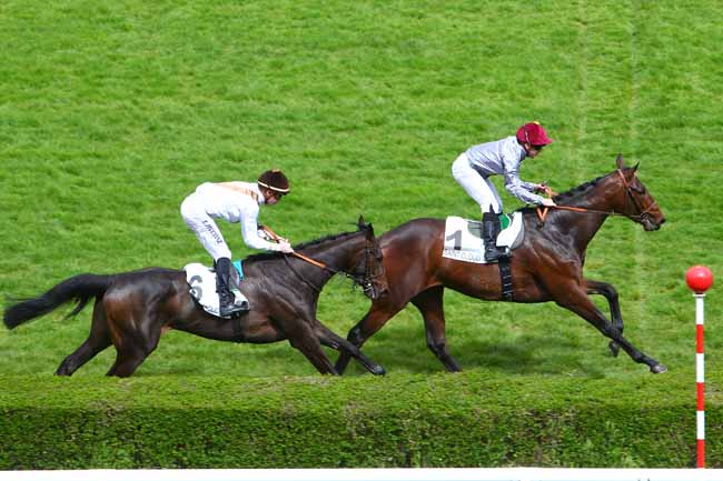Photo d'arrivée de la course pmu PRIX DES ORFEVRES à SAINT-CLOUD le Lundi 11 avril 2016