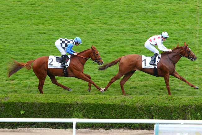 Photo d'arrivée de la course pmu PRIX DE LA HUCHETTE à SAINT-CLOUD le Lundi 11 avril 2016