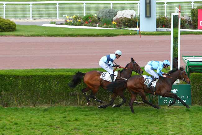 Photo d'arrivée de la course pmu PRIX JOURNALISTE à ENGHIEN le Mardi 12 avril 2016