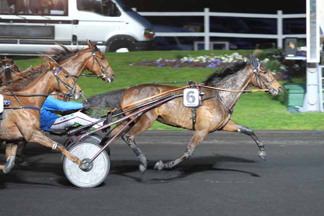 Photo d'arrivée de la course pmu PRIX ATLAS à PARIS-VINCENNES le Mardi 12 avril 2016