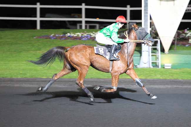 Photo d'arrivée de la course pmu PRIX BAMBERGA à PARIS-VINCENNES le Mardi 12 avril 2016