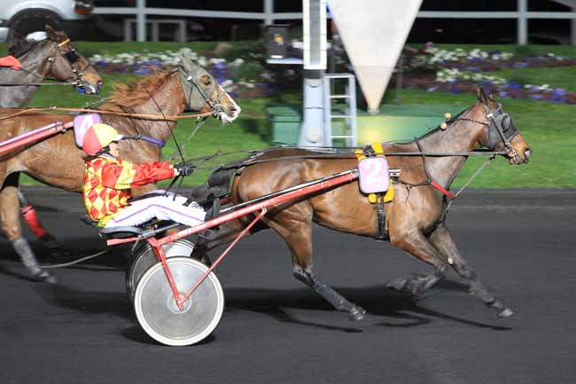 Photo d'arrivée de la course pmu PRIX BAVARIA à PARIS-VINCENNES le Mardi 12 avril 2016