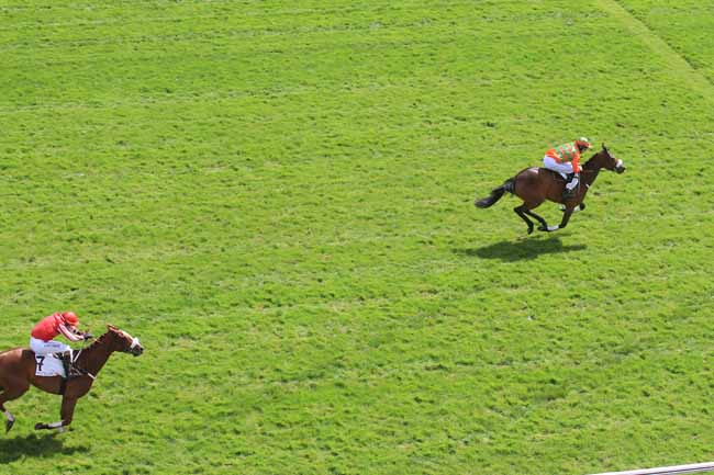 Photo d'arrivée de la course pmu PRIX GEOGRAPHIE à AUTEUIL le Mercredi 13 avril 2016