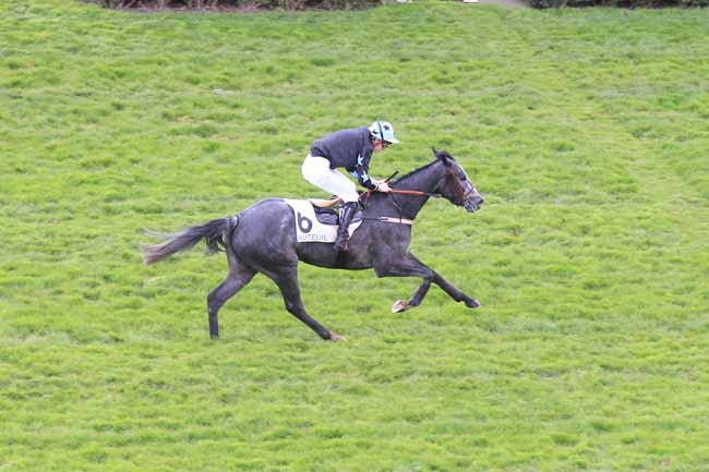 Photo d'arrivée de la course pmu PRIX THE COYOTE à AUTEUIL le Mercredi 13 avril 2016