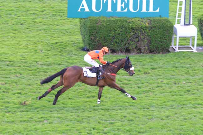 Photo d'arrivée de la course pmu PRIX DE SAUMUR à AUTEUIL le Mercredi 13 avril 2016