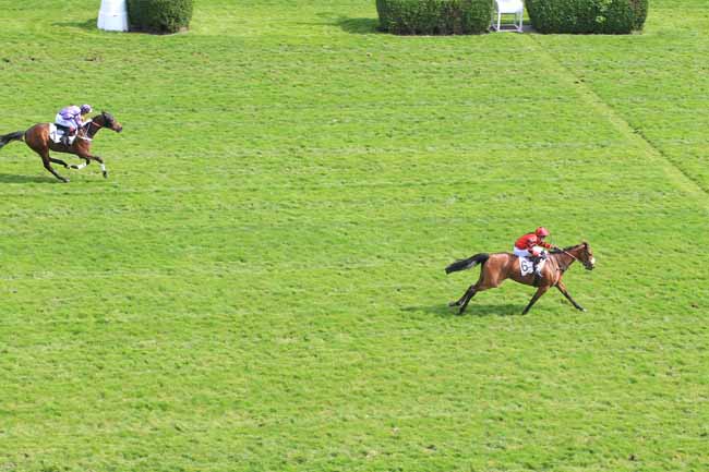 Photo d'arrivée de la course pmu PRIX DU BARRY à AUTEUIL le Mercredi 13 avril 2016
