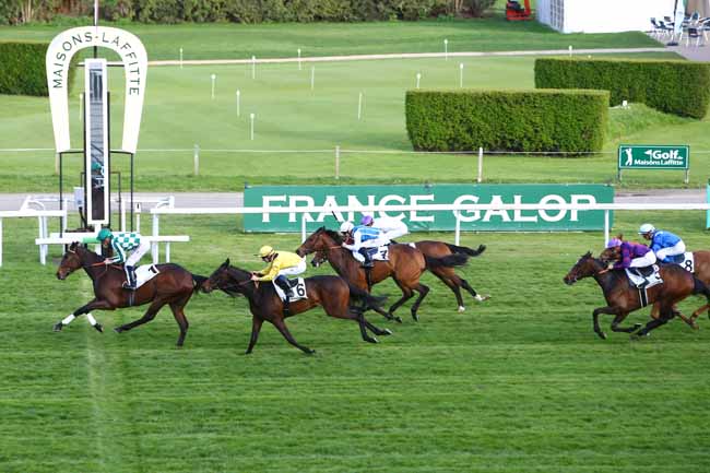 Photo d'arrivée de la course pmu PRIX DOUBLE ROSE à MAISONS-LAFFITTE le Mercredi 13 avril 2016