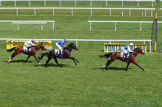 Photo d'arrivée de la course pmu PRIX D'ORSAY à FONTAINEBLEAU le Jeudi 14 avril 2016