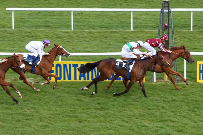 Photo d'arrivée de la course pmu PRIX FOULD à FONTAINEBLEAU le Jeudi 14 avril 2016