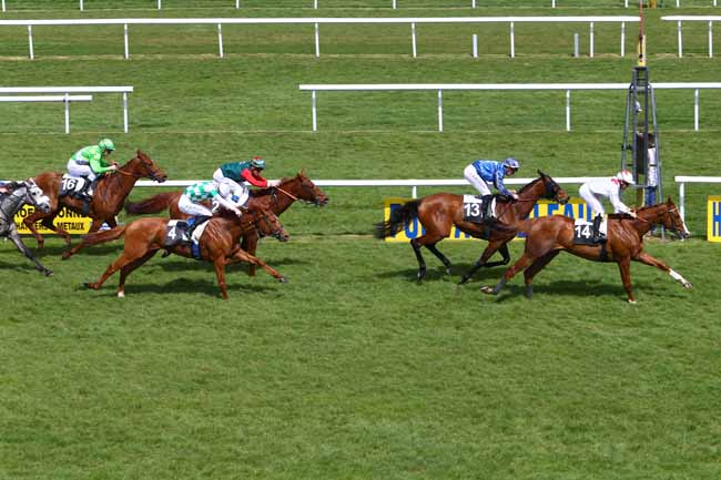 Photo d'arrivée de la course pmu PRIX DU PONT DE FLANDRES à FONTAINEBLEAU le Jeudi 14 avril 2016