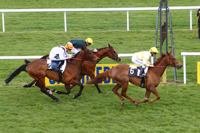 Photo d'arrivée de la course pmu PRIX DE PALAIS DE LA DECOUVERTE à FONTAINEBLEAU le Jeudi 14 avril 2016