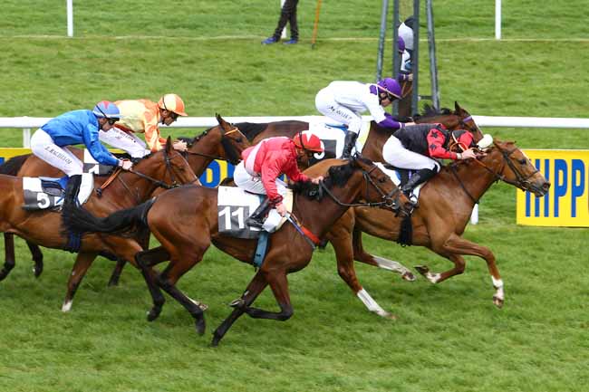 Photo d'arrivée de la course pmu PRIX DES FEUILLANTINES à FONTAINEBLEAU le Jeudi 14 avril 2016
