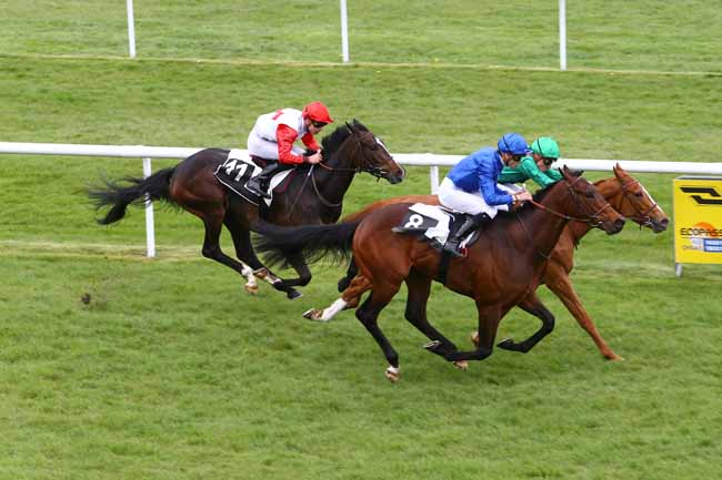 Photo d'arrivée de la course pmu PRIX DU PALAIS DES CONGRES à FONTAINEBLEAU le Jeudi 14 avril 2016