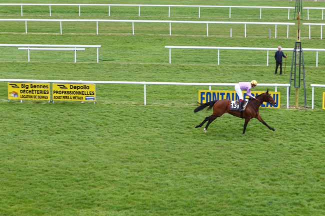 Photo d'arrivée de la course pmu PRIX DU MASSIF FORESTIER à FONTAINEBLEAU le Jeudi 14 avril 2016