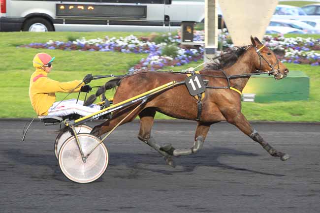 Photo d'arrivée de la course pmu PRIX IZAR à PARIS-VINCENNES le Vendredi 15 avril 2016
