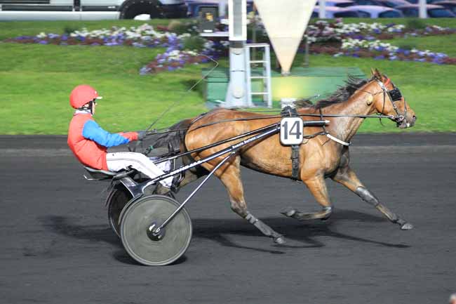Photo d'arrivée de la course pmu PRIX EUKRATE à PARIS-VINCENNES le Vendredi 15 avril 2016