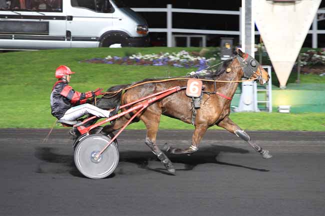 Photo d'arrivée de la course pmu PRIX ALGENIB à PARIS-VINCENNES le Vendredi 15 avril 2016