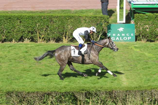 Photo d'arrivée de la course pmu PRIX AUBEPINE à ENGHIEN le Vendredi 15 avril 2016