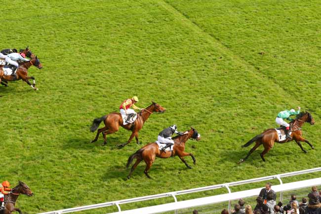Photo d'arrivée de la course pmu PRIX ROGER DUCHENE - GRAND PRIX DES JEUNES JOCKEYS à AUTEUIL le Dimanche 17 avril 2016