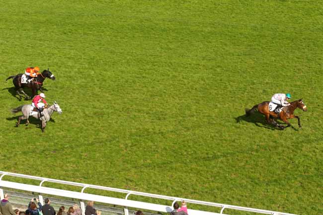 Photo d'arrivée de la course pmu PRIX JEAN GRANEL à AUTEUIL le Dimanche 17 avril 2016