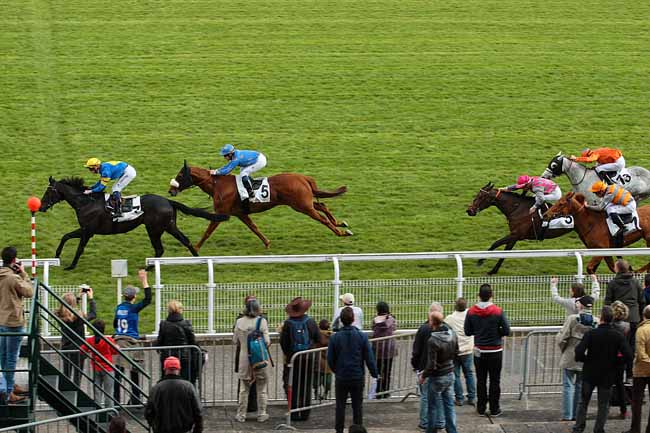 Photo d'arrivée de la course pmu PRIX DE LA GROTTE DE MEUDON à MAISONS-LAFFITTE le Mardi 19 avril 2016