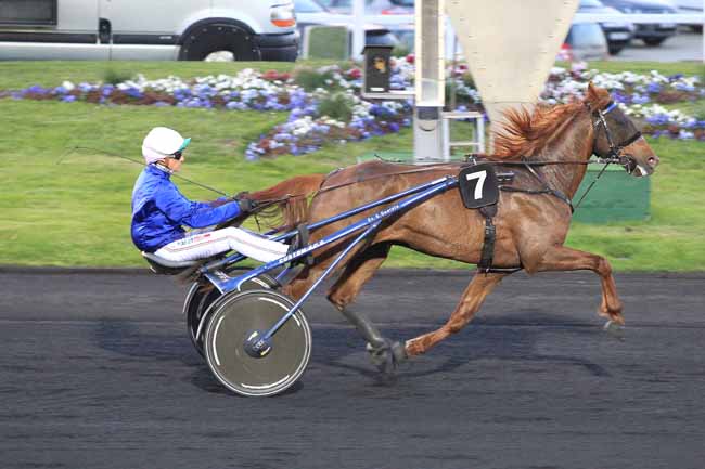Photo d'arrivée de la course pmu PRIX HENRIETTA à PARIS-VINCENNES le Mardi 19 avril 2016
