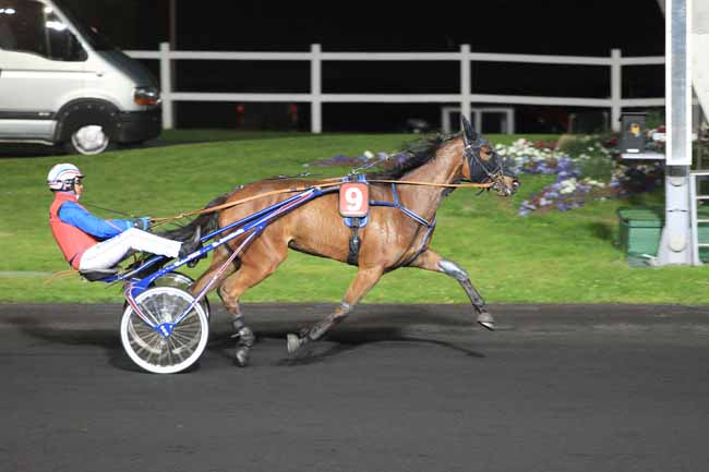Photo d'arrivée de la course pmu PRIX PHAEO à PARIS-VINCENNES le Mardi 19 avril 2016