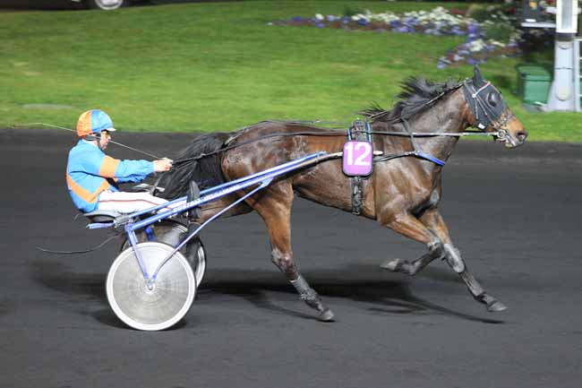 Photo d'arrivée de la course pmu PRIX EMMA à PARIS-VINCENNES le Mardi 19 avril 2016