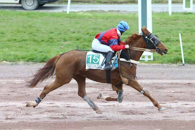Photo d'arrivée de la course pmu PRIX DU CONSEIL DEPARTEMENTAL DE LOIRE-ATLANTIQUE à PONTCHATEAU le Mercredi 20 avril 2016